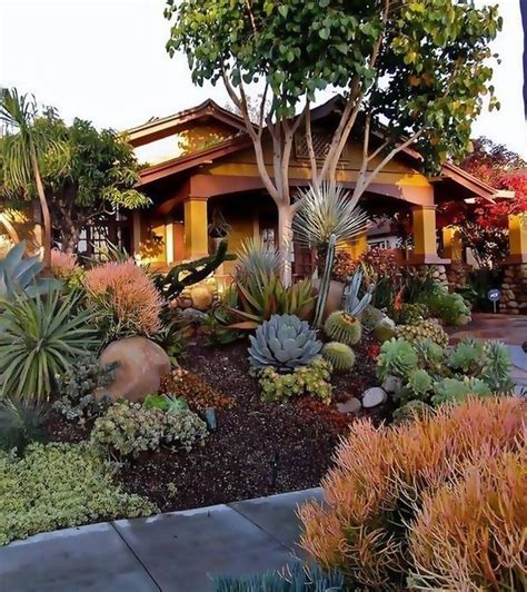 30 Best Low Water Landscaping Ideas To Decorate Your Garden Xeriscape