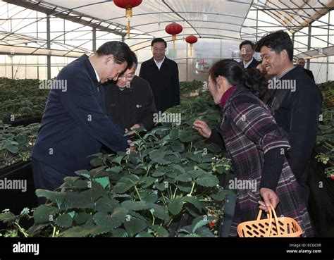 Beijing Chinas Jiangsu Province 13th Dec 2014 Chinese President Xi