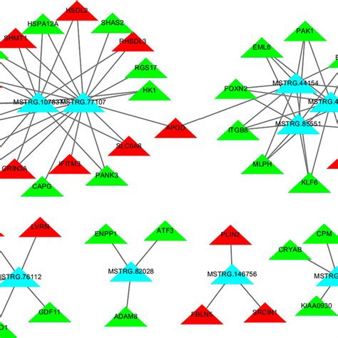 Lncrna And Mrna Co Expression Networks In Subcutaneous Adipose Tissues