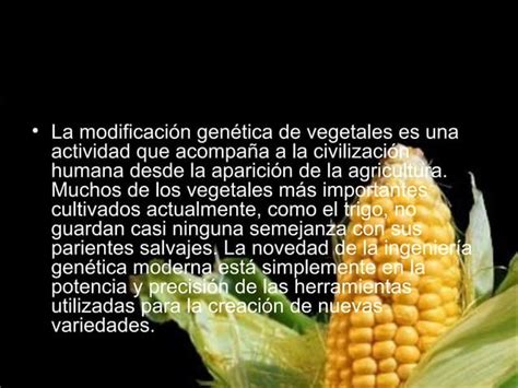 ventajas y desventajas de alimentos transgénicos PPT