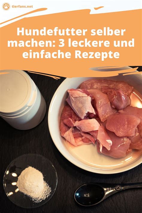 Du Willst Hundefutter Selber Machen Und Suchst Nach Gesunden Rezepten