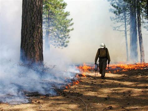 As California Megafires Burn, Forest Service Ditches 'Good Fire' Under ...