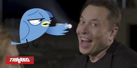 Elon Musk Hace Encuesta Para Ver Si Renuncia Como Ceo De Twitter Pero