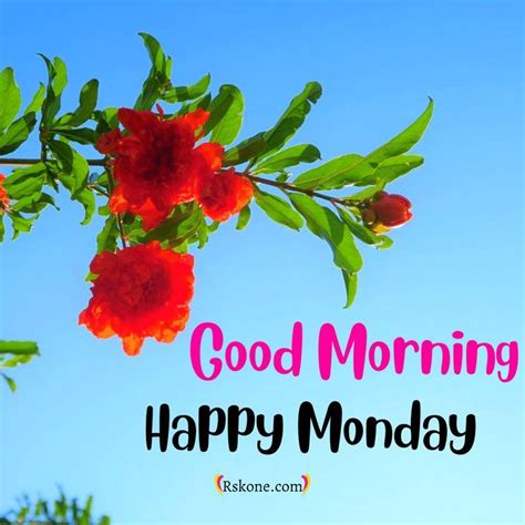 Red Flowers With Green Leaves And The Words Good Morning Happy Monday