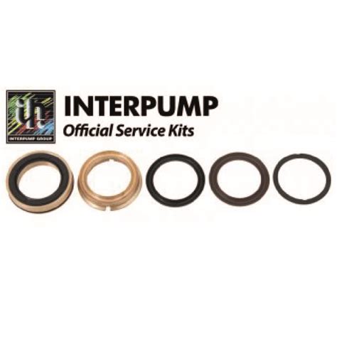 Interpump Servicerepair Kit 80 Benichem