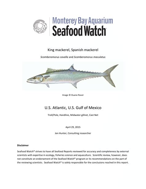 Pdf King Mackerel And Spanish Mackerel Us Atlantic Us Gulf Of Mexico