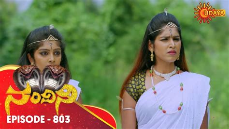 Nandini Episode 803 25th Nov 19 Udaya Tv Serial Kannada Serial