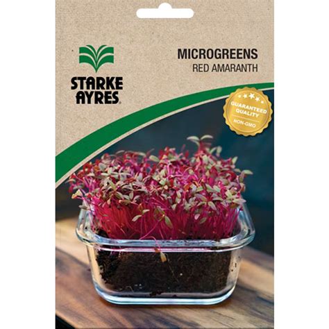 Red Amaranth Microgreens Seeds Starke Ayres Za