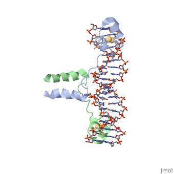 1d66 Proteopedia Life In 3D