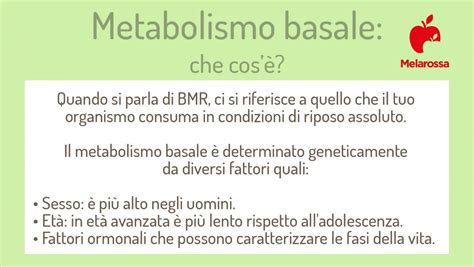 Metabolismo Cos Cosa Significa E Tutto Quello Che C Da Sapere