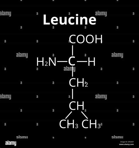 Amino acid Leucine. Chemical molecular formula of amino acid leucine ...