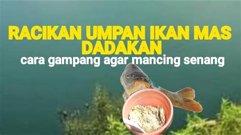 Racikan Umpan Ikan Mas Dadakan Biasamancing Youtube