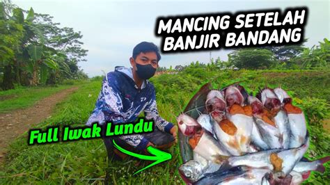 Ikan Kelaparan Sehabis Hujan Mancing Lundu Keting Youtube