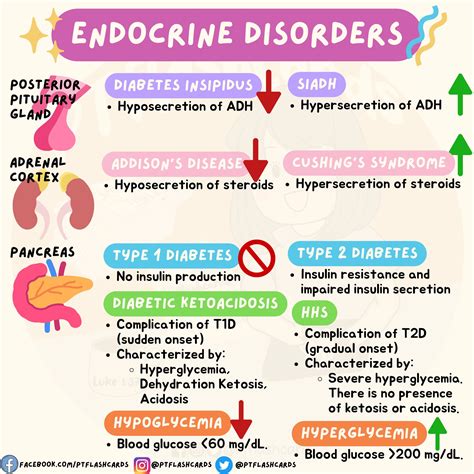 Endocrine Diseases And Disorders