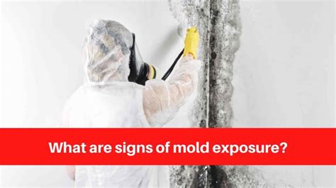 What Are Signs Of Mold Exposure Duct Cleaning Sudbury