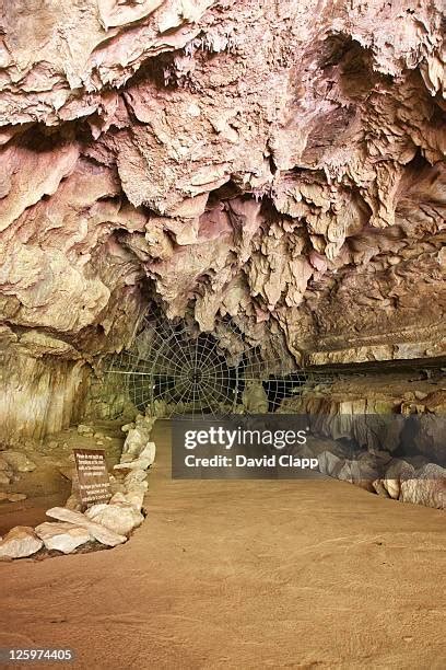 Crystal Cave (Sequoia National Park) Photos and Premium High Res ...