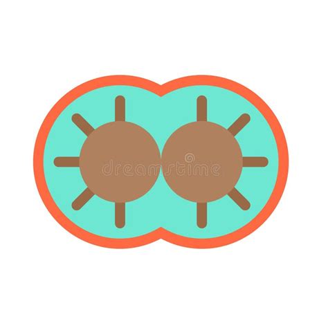 Cell Division Vector Illustration Line Style Icon Stock Vector