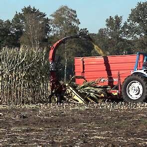 Video Het Echte Spektakel Bij Van Bakel Stal En Akker Nl