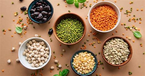 Types Of Legumes Food Blog