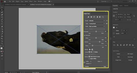 How To Use Image Trace In Adobe Illustrator Cc