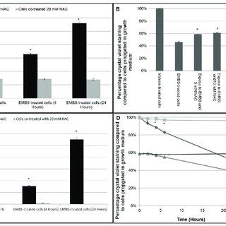 Antiproliferative And Apoptotic Effects Exerted By Embs Are