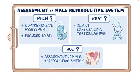 Video Physical Assessment Male Reproductive System Nursing