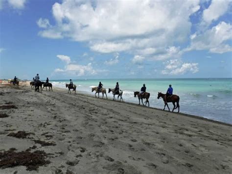 Descubre Las Impresionantes Islas De Florida Mientras Sanibel Se