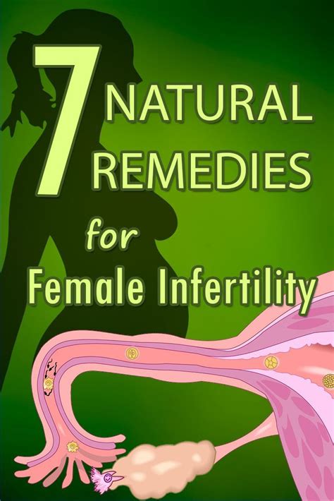 7 Natural Remedies For Infertility In Women Fertility Herbs