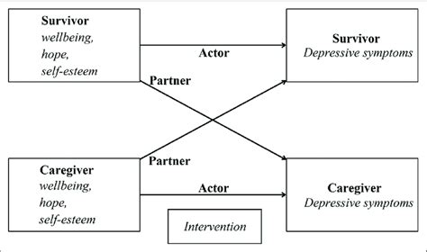 Graphical Representation Of The Actor Partner Interdependence Model