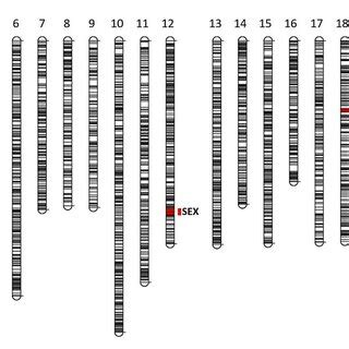 Phillyrea Angustifolia Sex Averaged Linkage Map Showing The Grouping