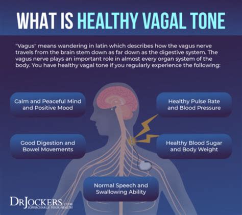 Improving Vagal Tone For Better Mental And Emotional Health