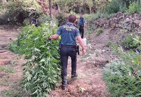 La Guardia Civil Investiga A Un Vecino De Beas De Segura Ja N Por