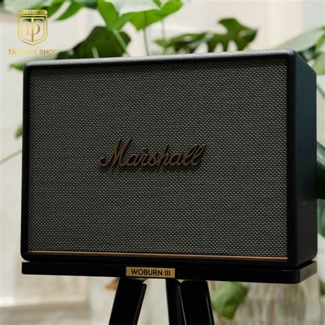 Marshall Woburn 3 ASH