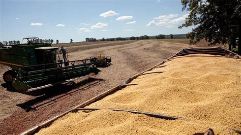 Cosecha agrícola brasileña registra récord en 2020 CGTN en Español