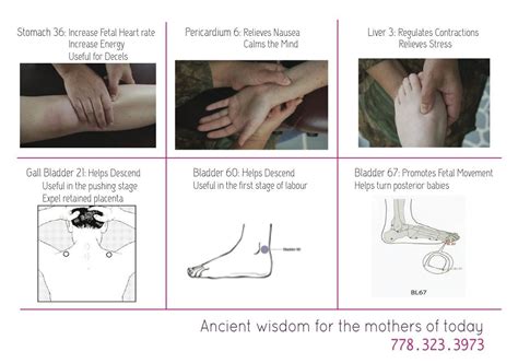 Acupressure Points To Induce Labor Diagram 5 Acupressure Poi