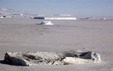 Antarctic Photo Library - Photo Details - sea-ice-icebergs1.JPG