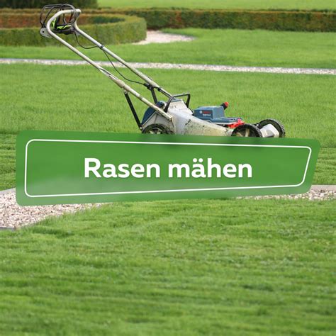 Rasen mähen Ratgeber Plantopedia