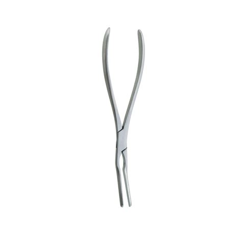 Ash Septum Forceps Stainless Steel Large At Rs 890piece In Jalandhar