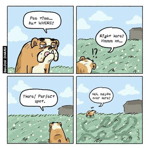 Bulldog Diaries Dog Comics Funny Bulldog Pictures Funny 