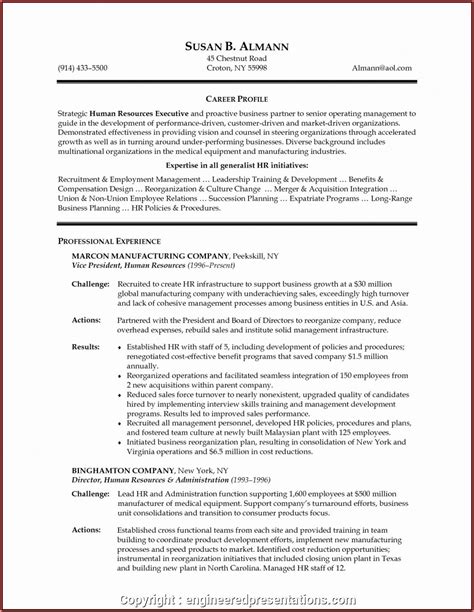 Mis Executive Experience Resume Format Resume Resume Examples 6v3rvgx37b