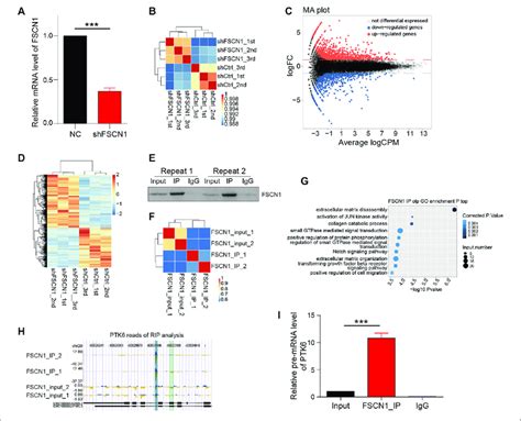 Whole Genome Expression Sequencing And Rip Assay A Two Eca