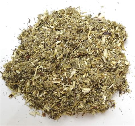 Mugwort Artemisia Vulgaris Dried Mugwort 1 2oz 1oz Etsy