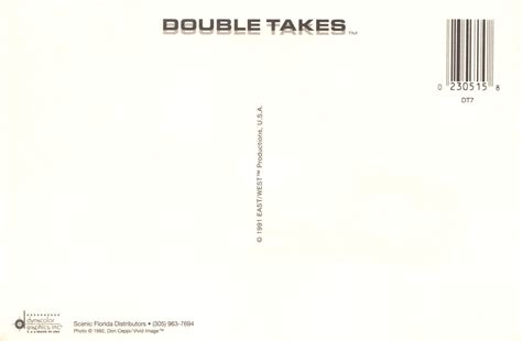 Florida Beautiful Model Beachin Attitude White Bikini Beach Vintage Postcard United States