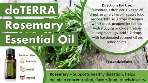 Rockin Doterra Rosemary Essential Oil Uses Youtube