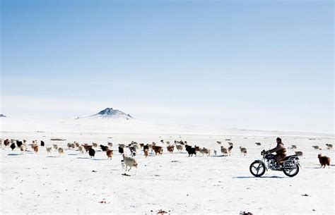 Immersion Nomade En Mongolie Le Mag Voyageurs