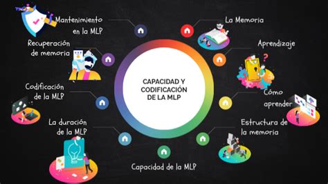 CAPACIDAD Y CODIFICACIÓN DE LA MLP