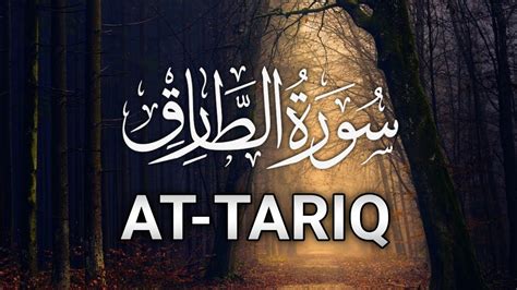 Heart Touching Quran Tilawat Surah At Tariq سورة الطارق Youtube