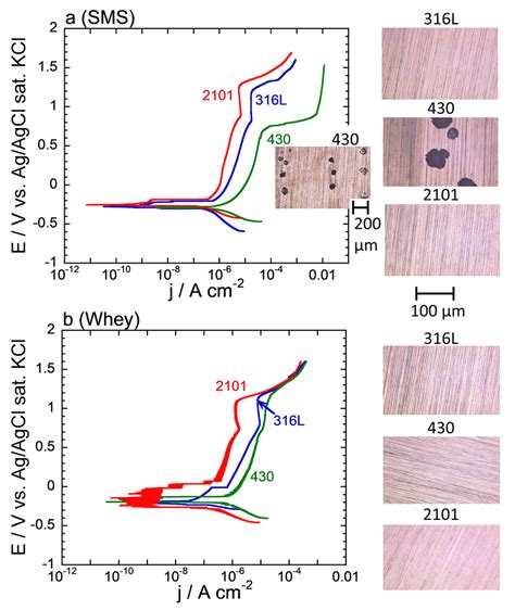 Representative Potentiodynamic Polarization Curves Scan Rate Of Mv