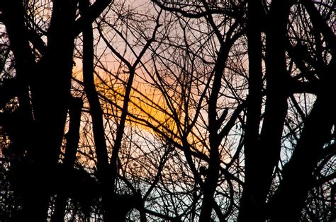 Black Ink Light Photograph By Vernis Maxwell Fine Art America