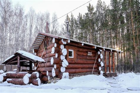 Сорта дерева для бани, купить деревянный дом под ключ